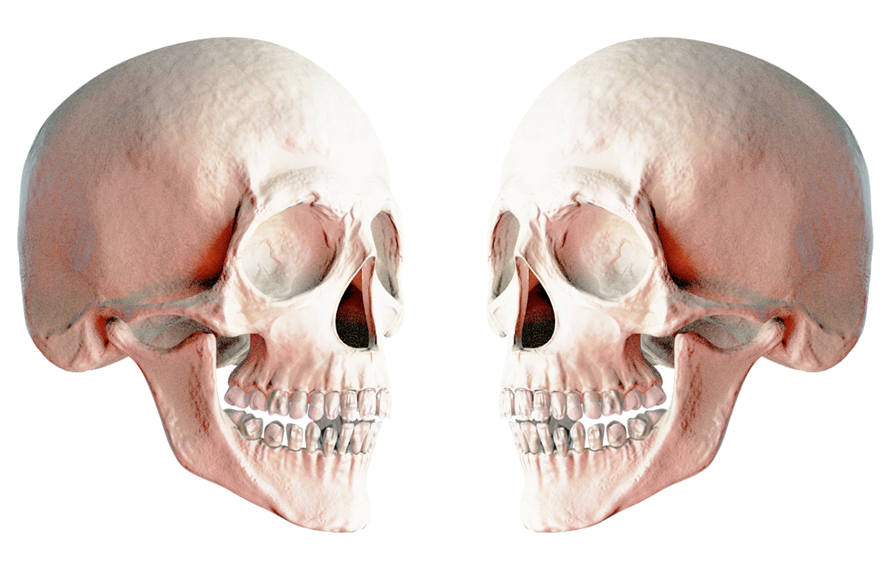 Cranio